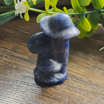 Champignons sculptés