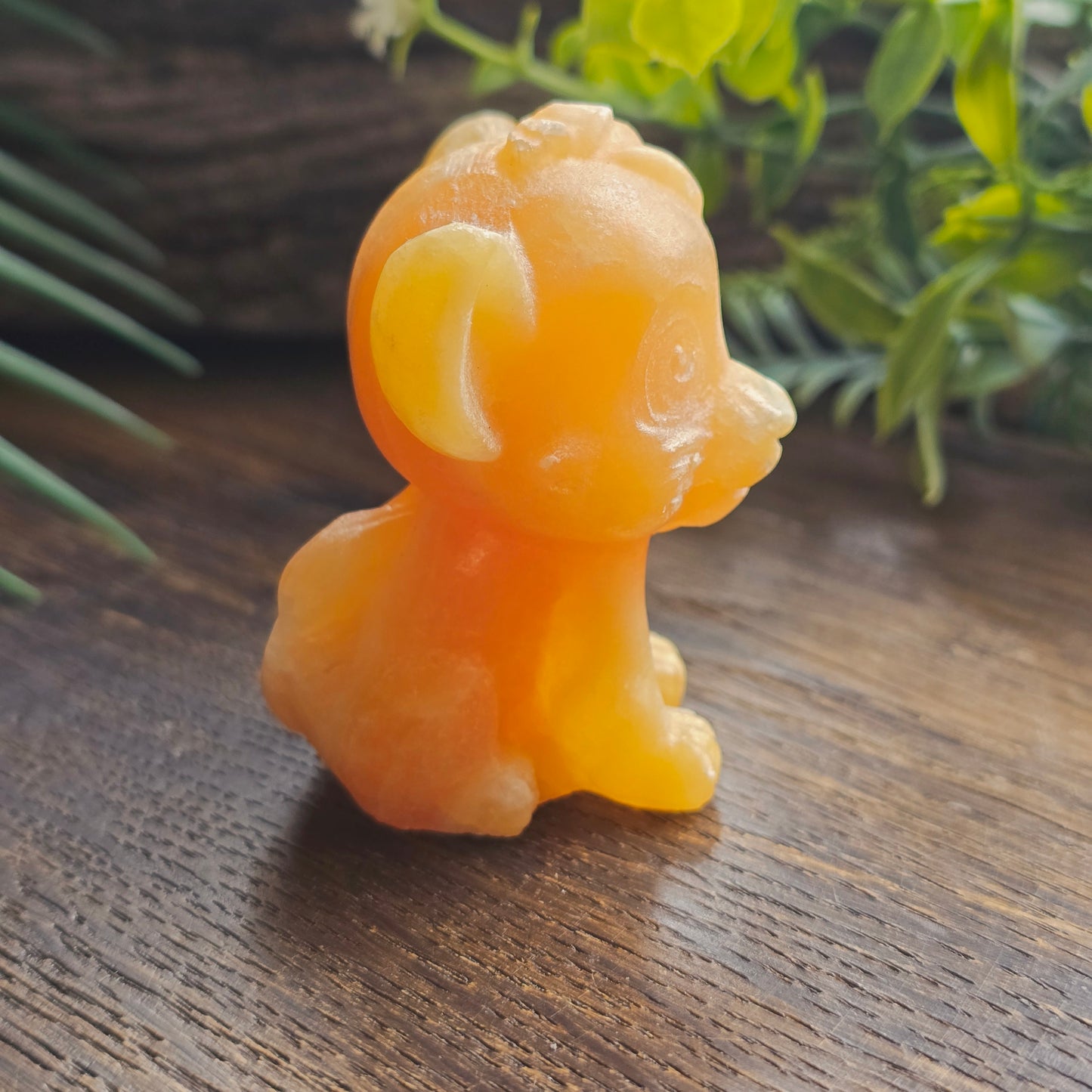Simba en Calcite orange - 5,5cm