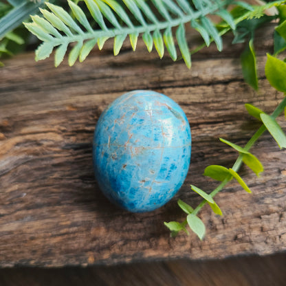 Galet en Apatite bleue - n°1