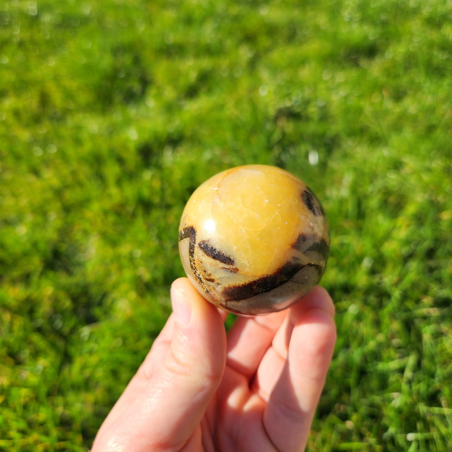 Sphère en Septaria - n°1