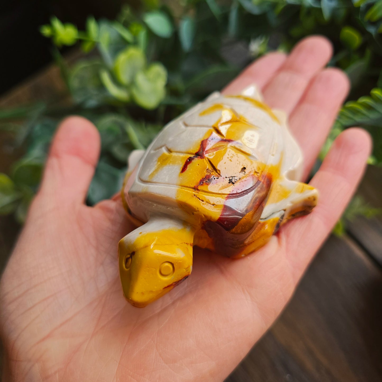 Tortue en Jaspe mokaïte - n°1