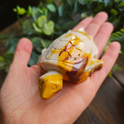 Tortue en Jaspe mokaïte - n°1