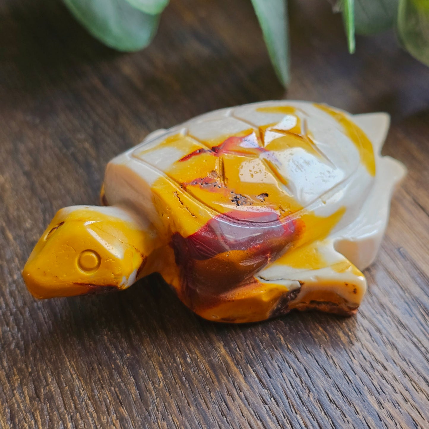 Tortue en Jaspe mokaïte - n°1