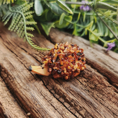 Petit hérisson en Ambre