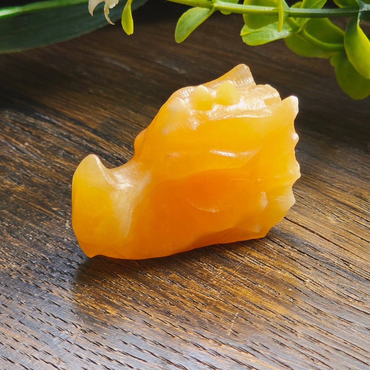 Têtes de dragon sculptées