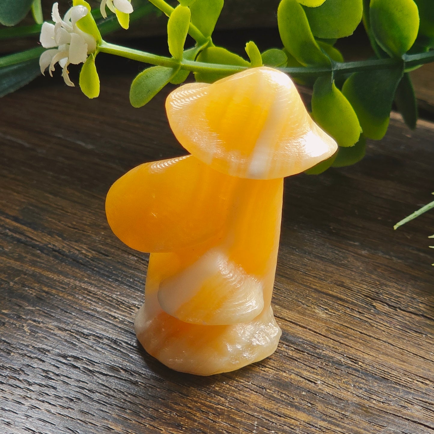 Champignons sculptés