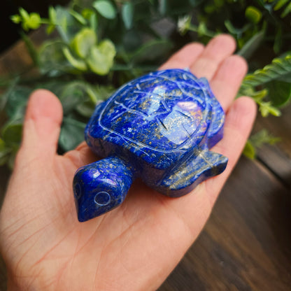 Tortue en Lapis lazuli