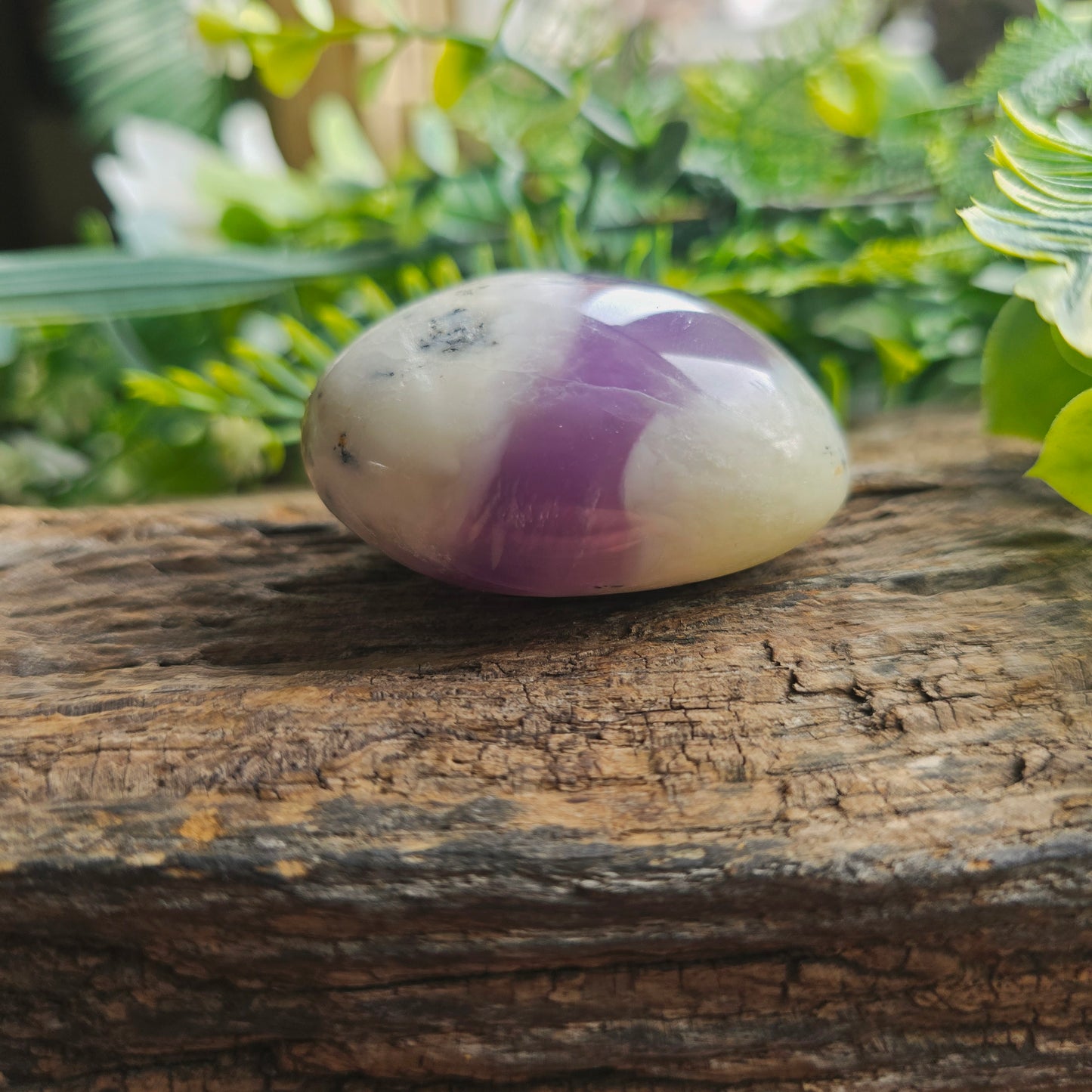 Galet en Agate Dendritique violette - n°4