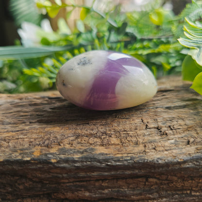 Galet en Agate Dendritique violette - n°4