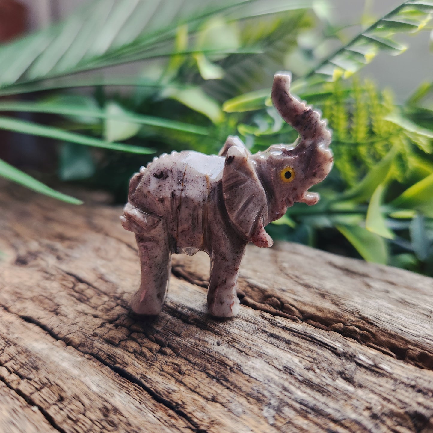 Animaux en Stéatite