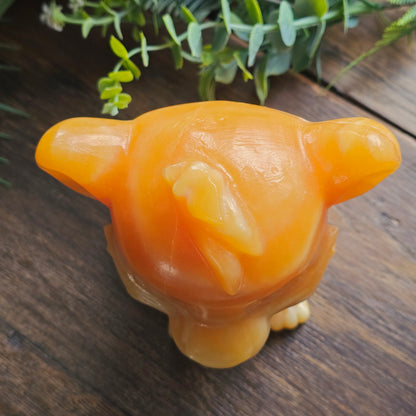 Simba en Calcite orange - 13cm