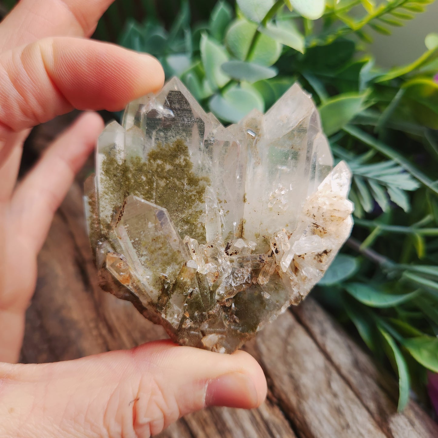 Quartz Chlorite montagne