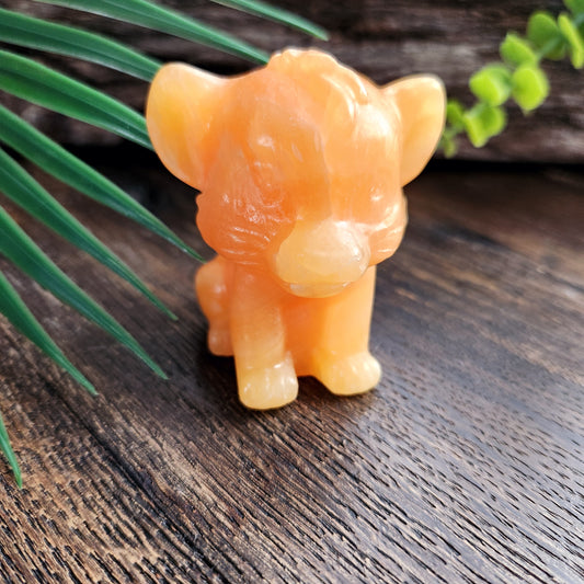 Simba (petit) en Calcite orange