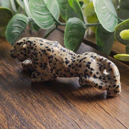 Léopard en Jaspe dalmatien - n°2