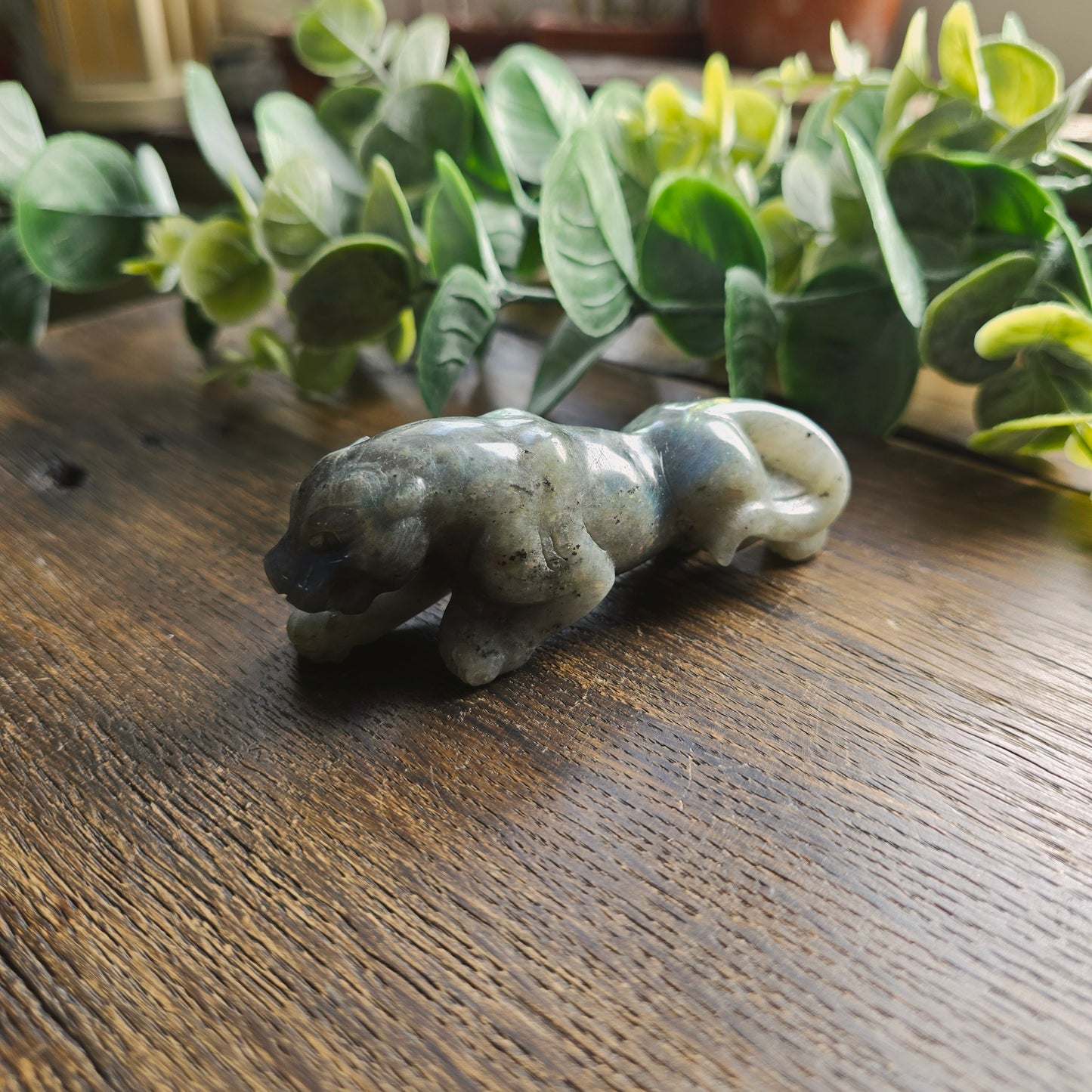 Léopard Labradorite - n°2