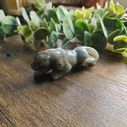 Léopard Labradorite - n°2