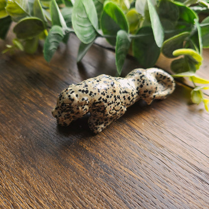 Léopard en Jaspe dalmatien - n°1