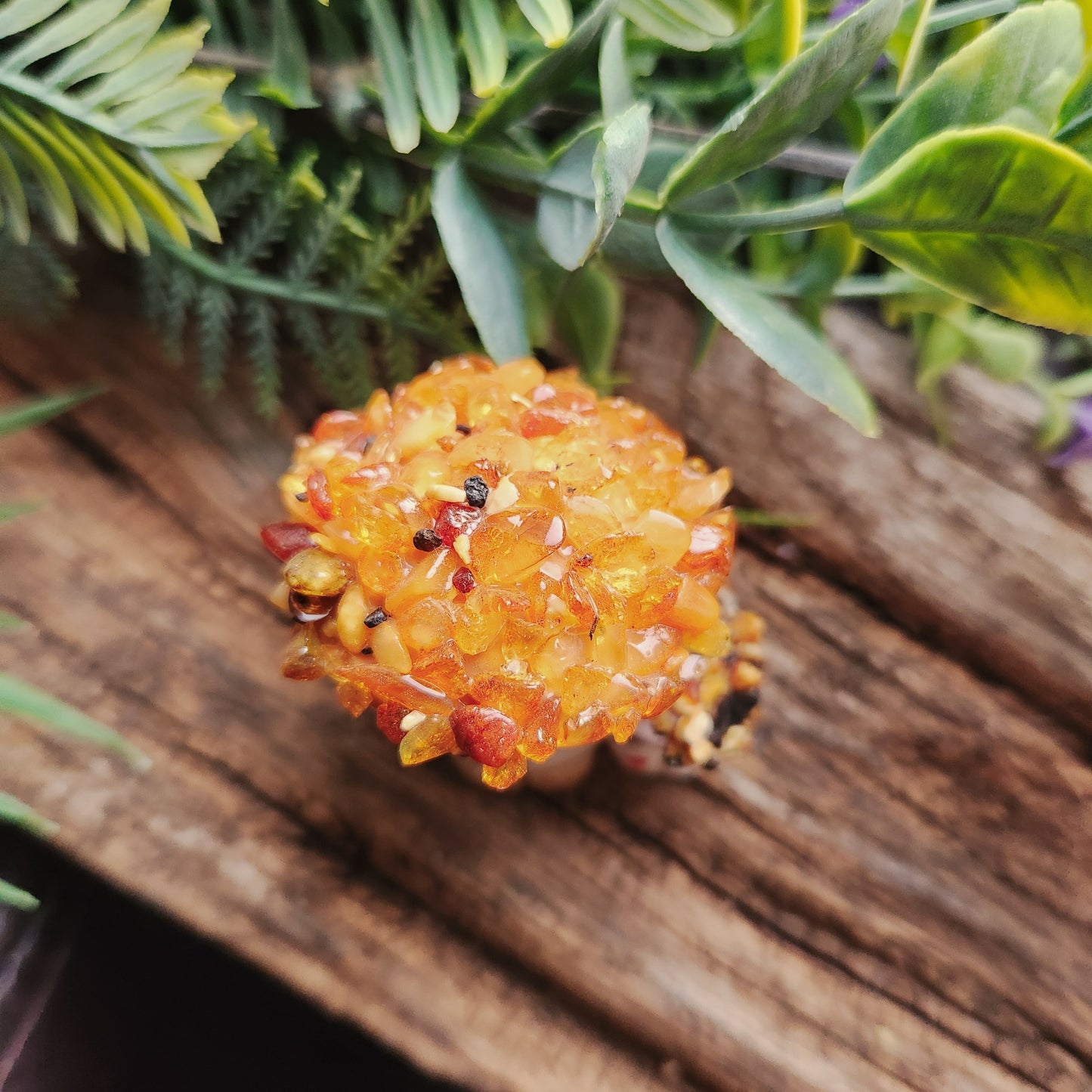 Champignons en Ambre