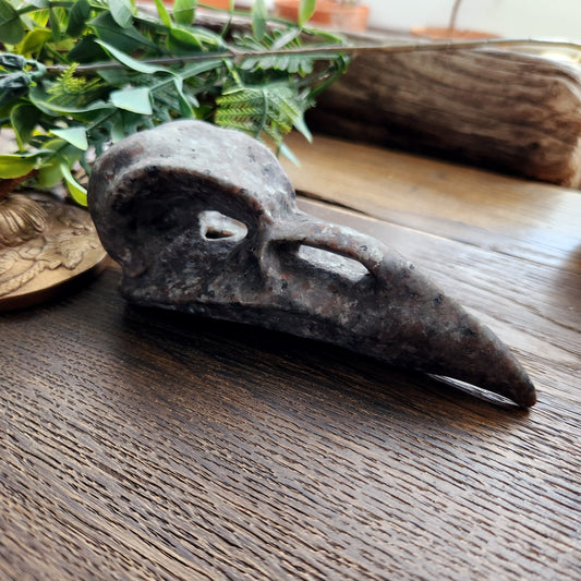 Crâne de corbeau en Yooperlite