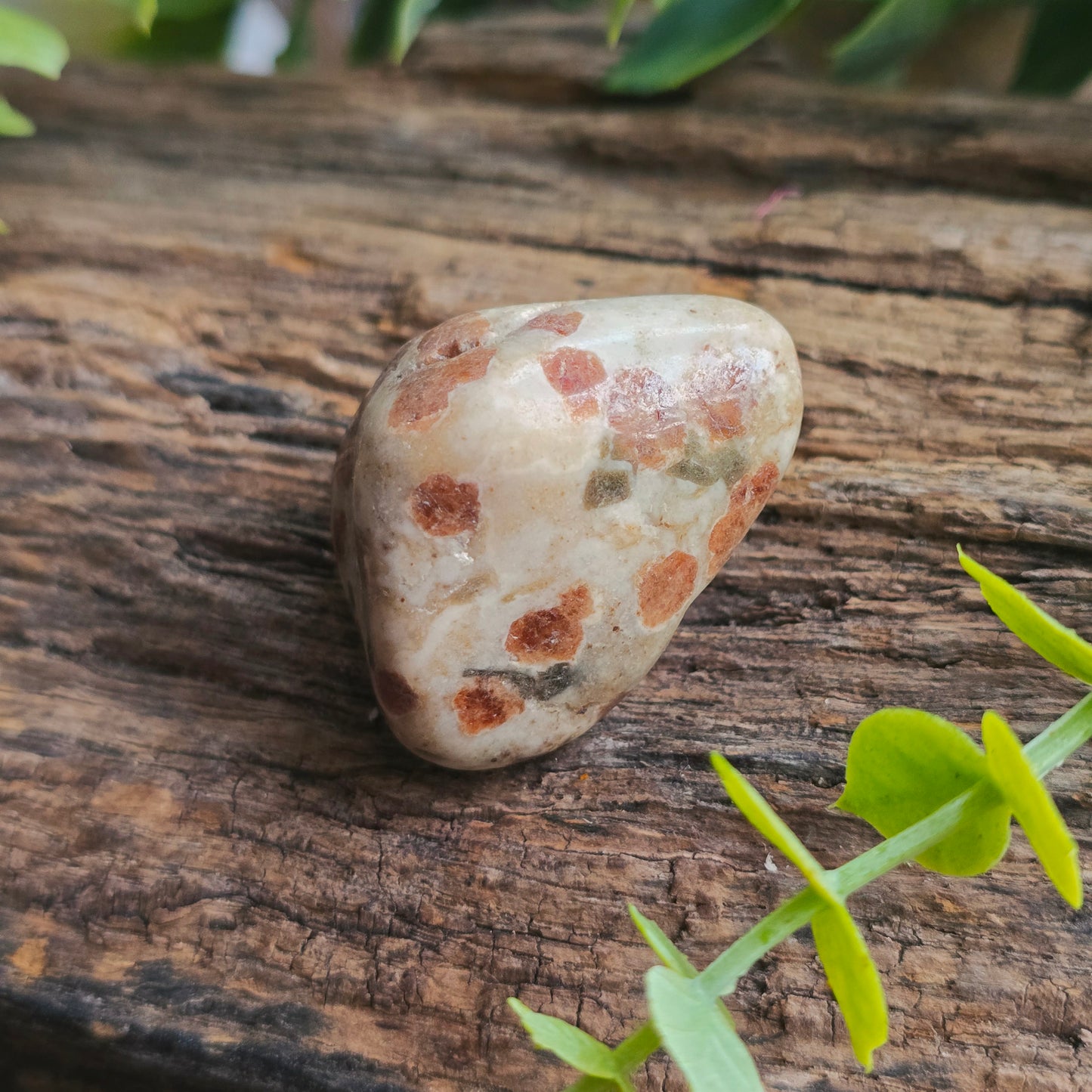 Galet en Wollastonite - n°2