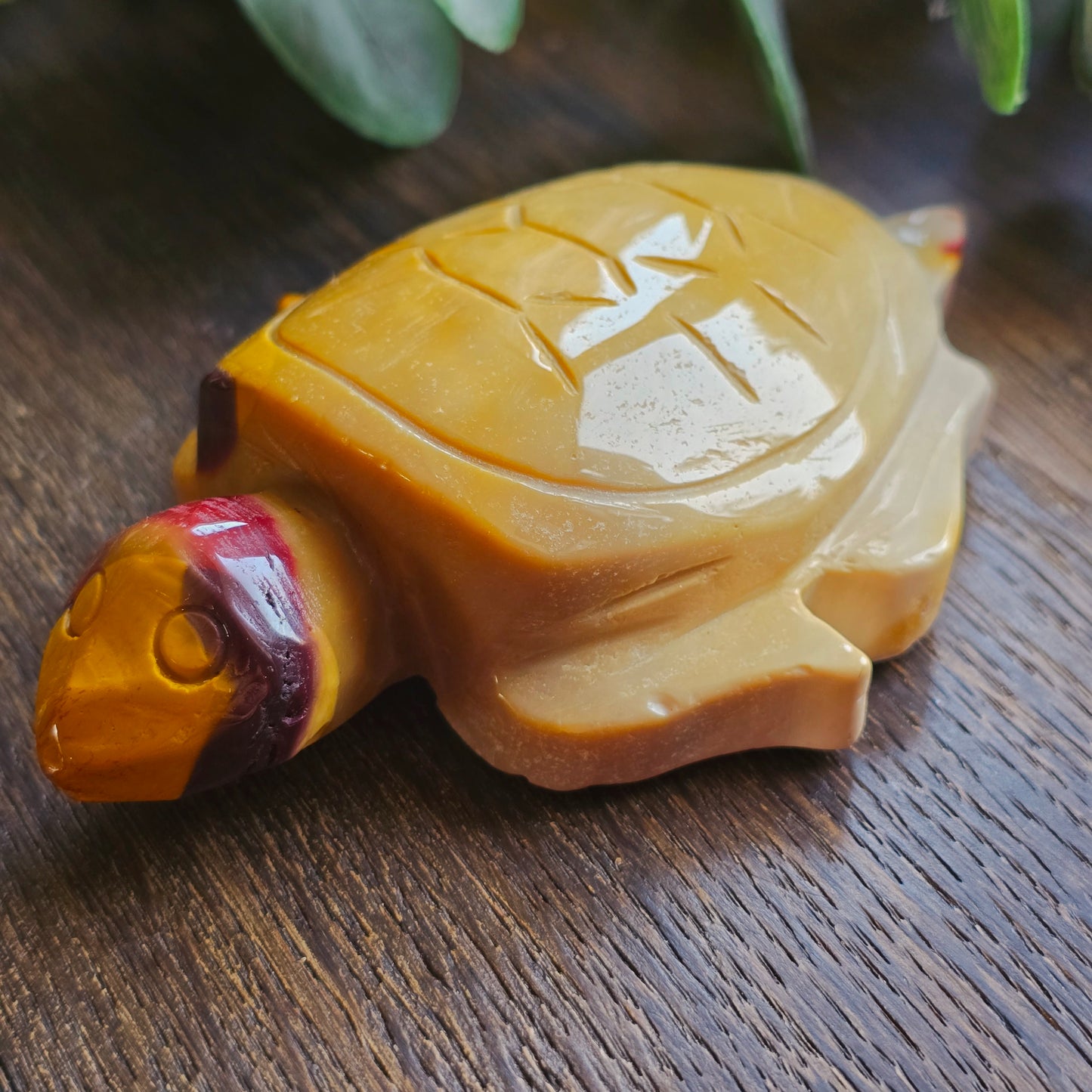 Tortue en Jaspe mokaïte - n°2