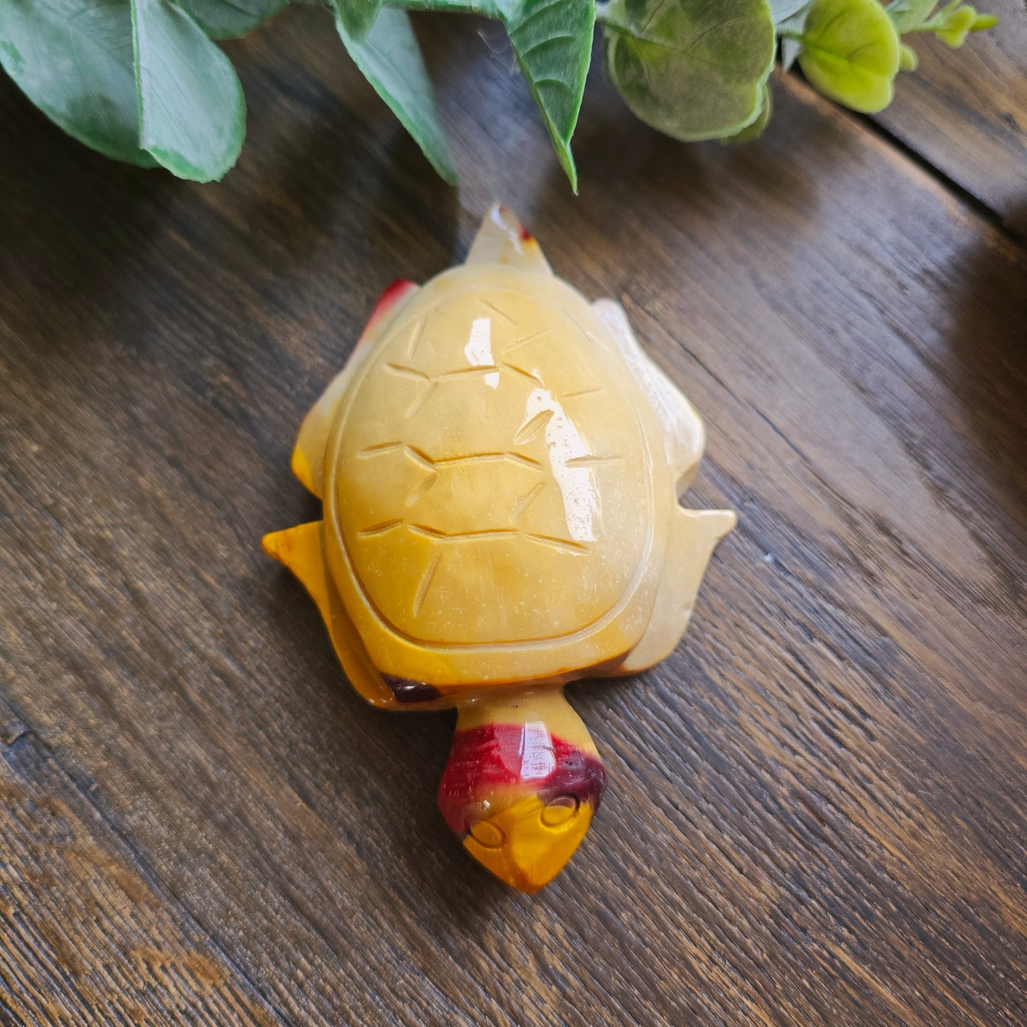 Tortue en Jaspe mokaïte - n°2