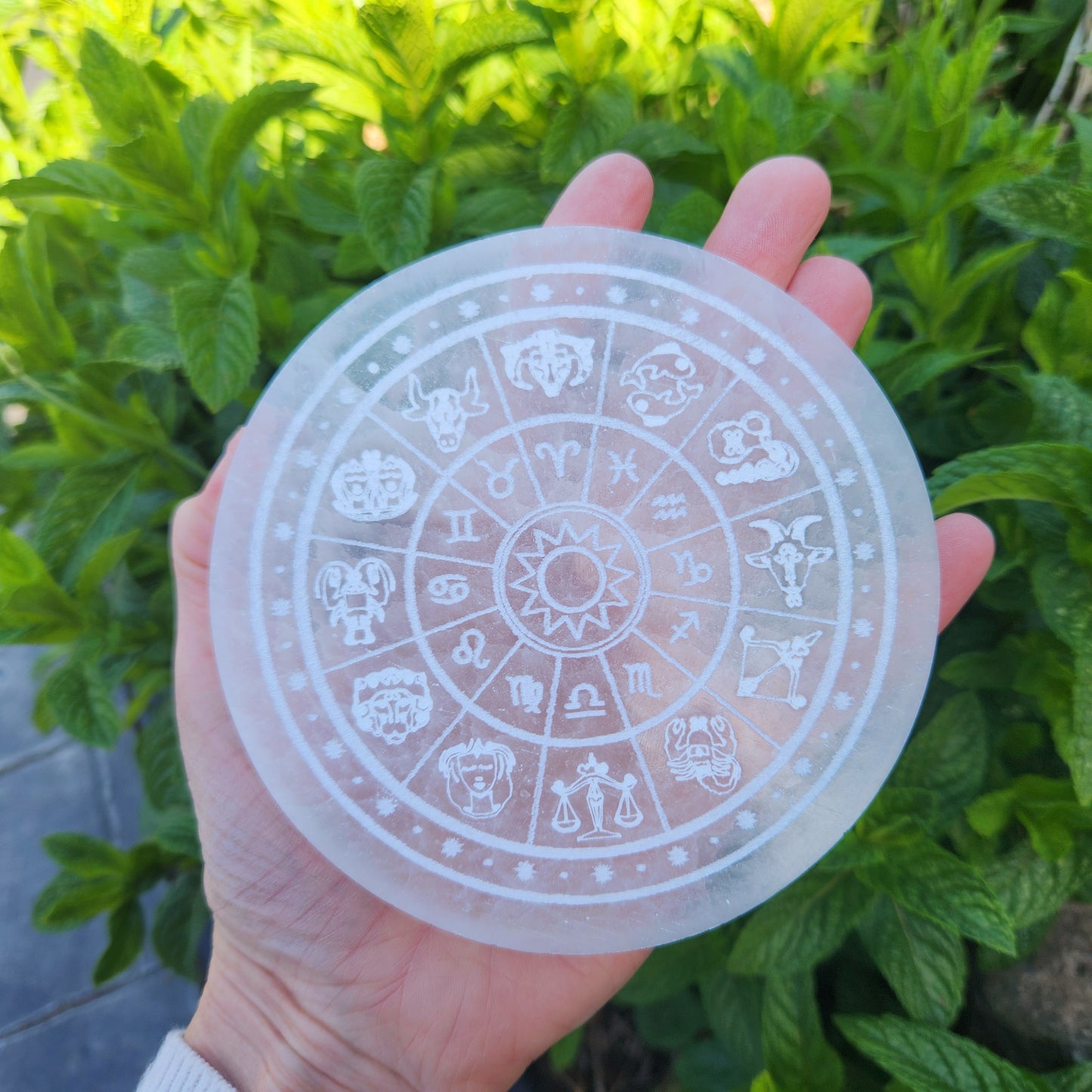 Plaque Signes astrologiques