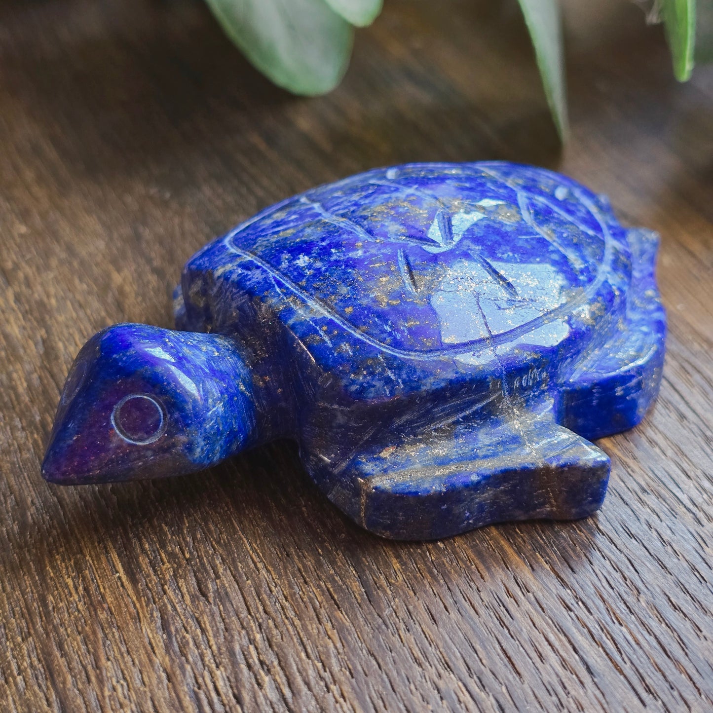 Tortue en Lapis lazuli