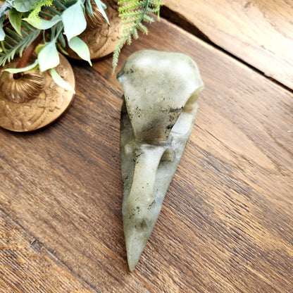 Crâne de corbeau en Labradorite