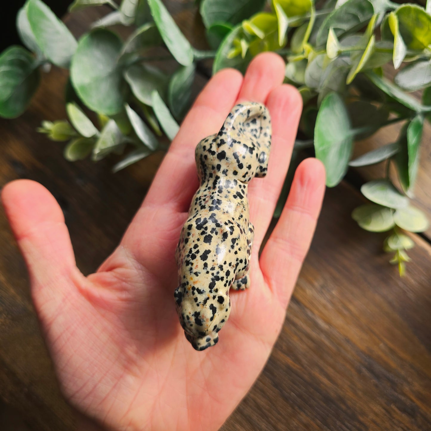 Léopard en Jaspe dalmatien - n°2