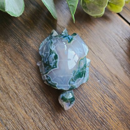 Tortue en Agate mousse