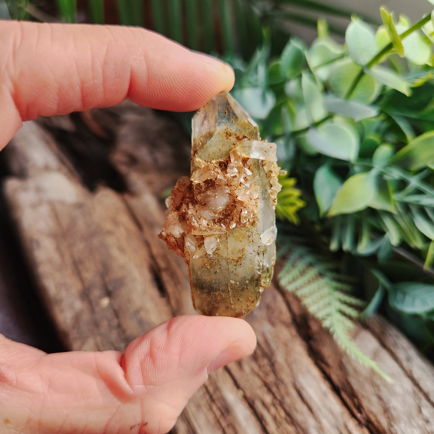 Quartz Chlorite biterminé