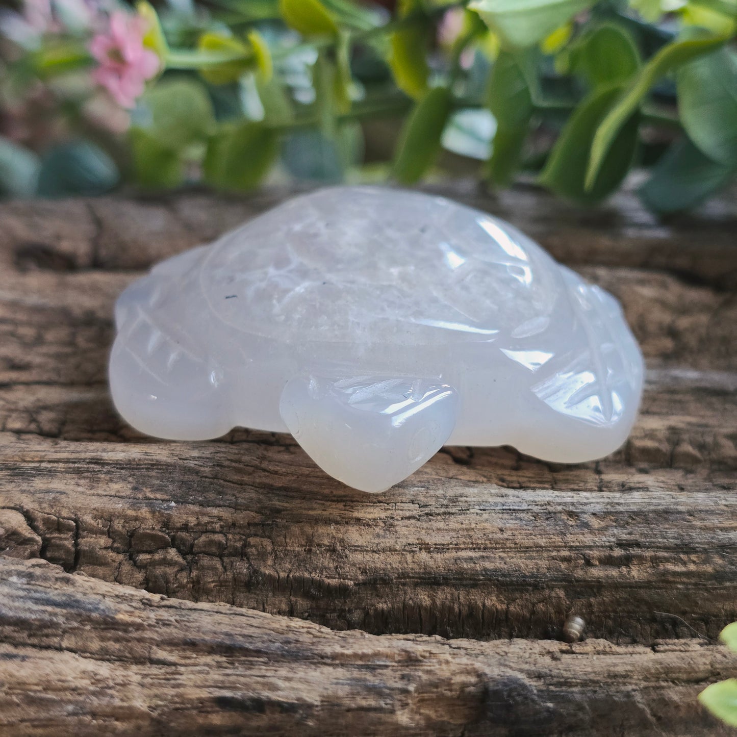 Tortue en Agate n°1