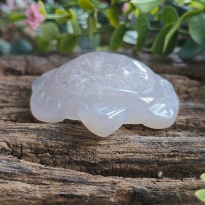 Tortue en Agate n°1