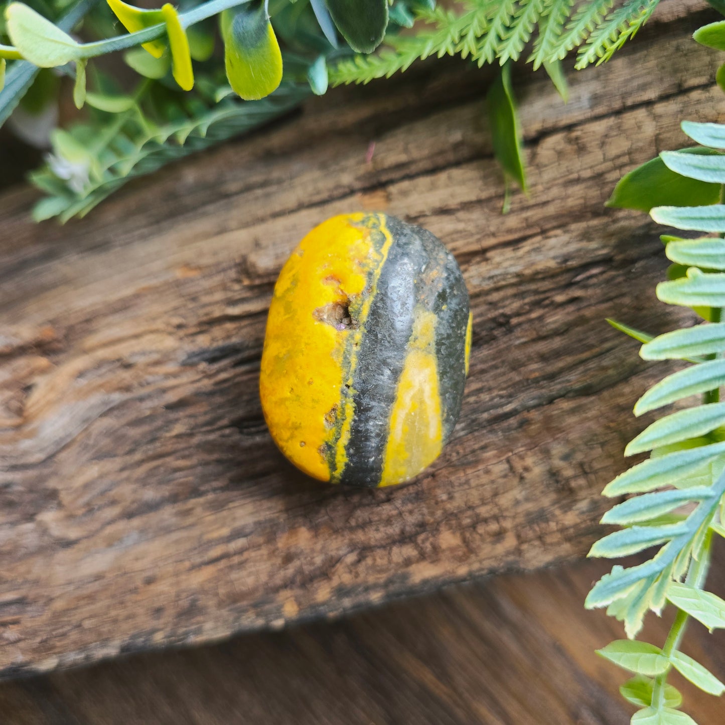 Galet en Jaspe Bumblebee - n°3