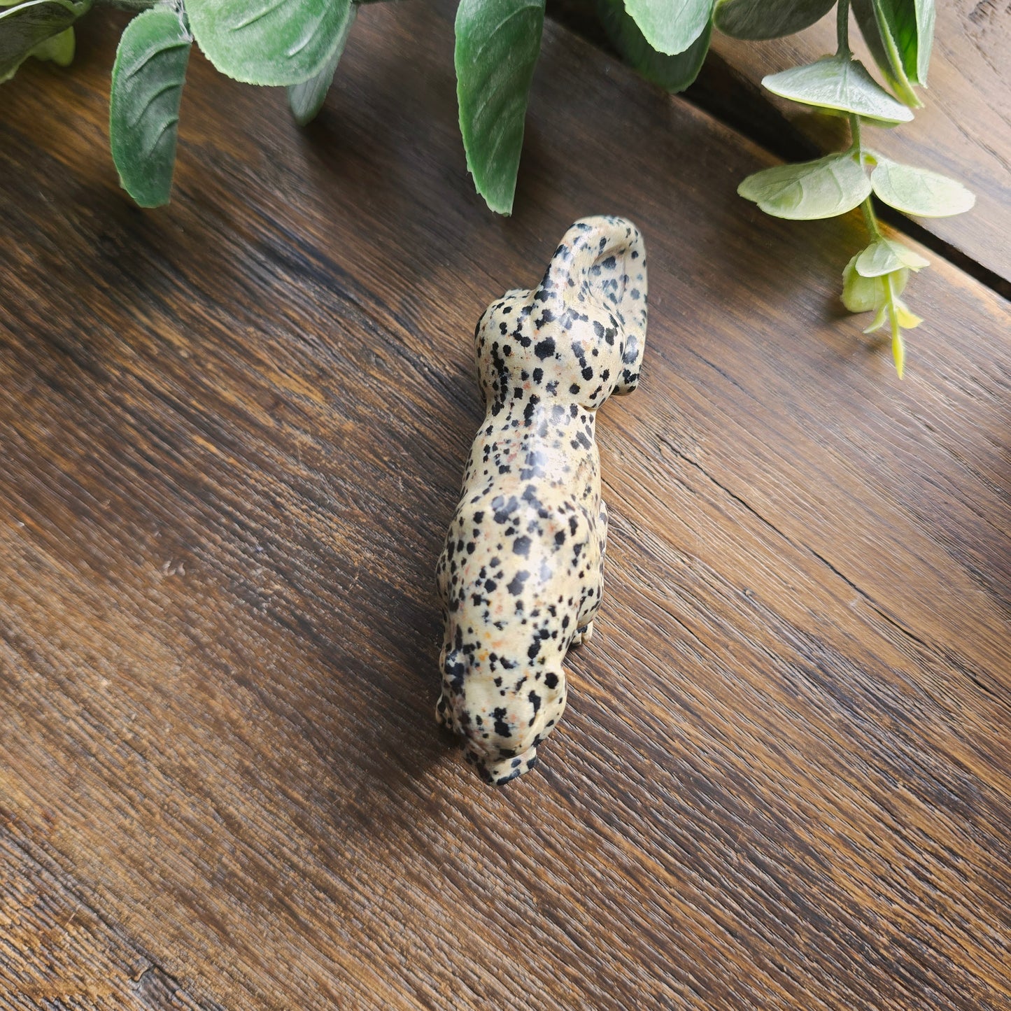 Léopard en Jaspe dalmatien - n°2