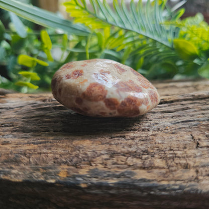 Galet en Wollastonite - n°1