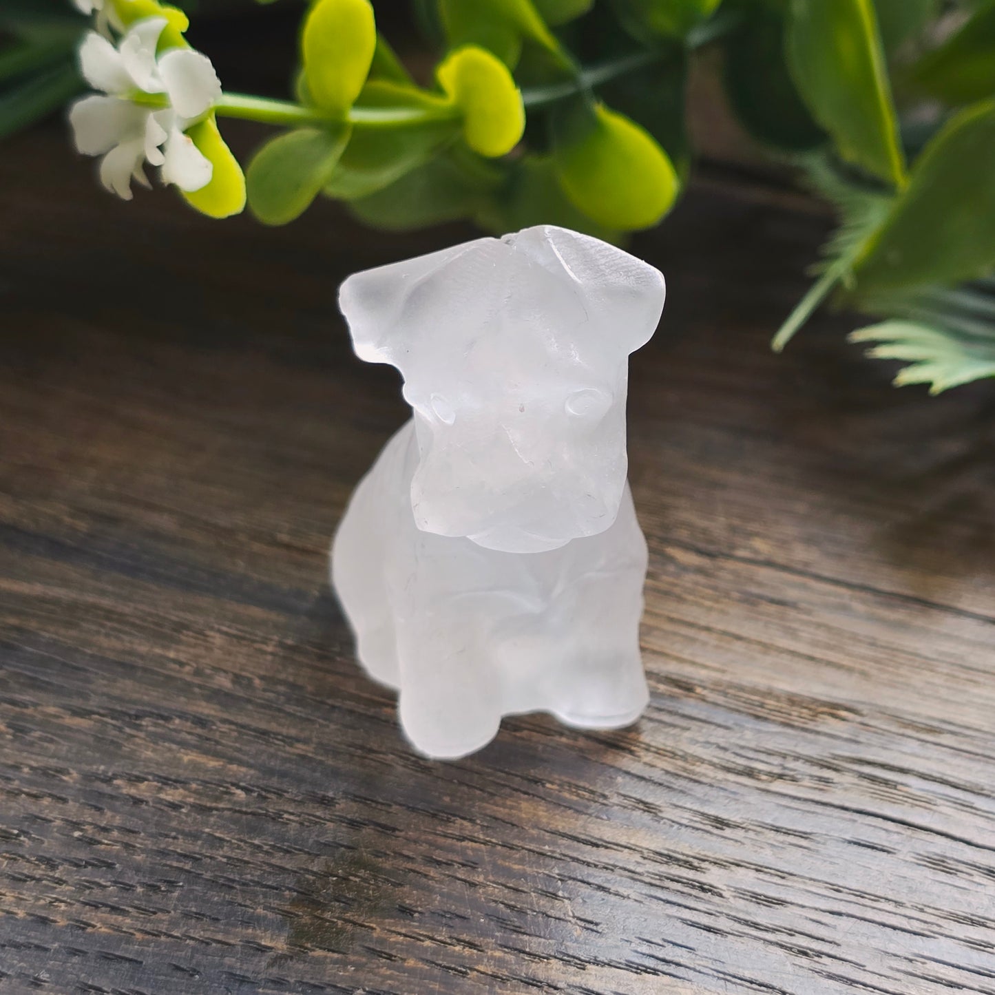 Chiens sculptés
