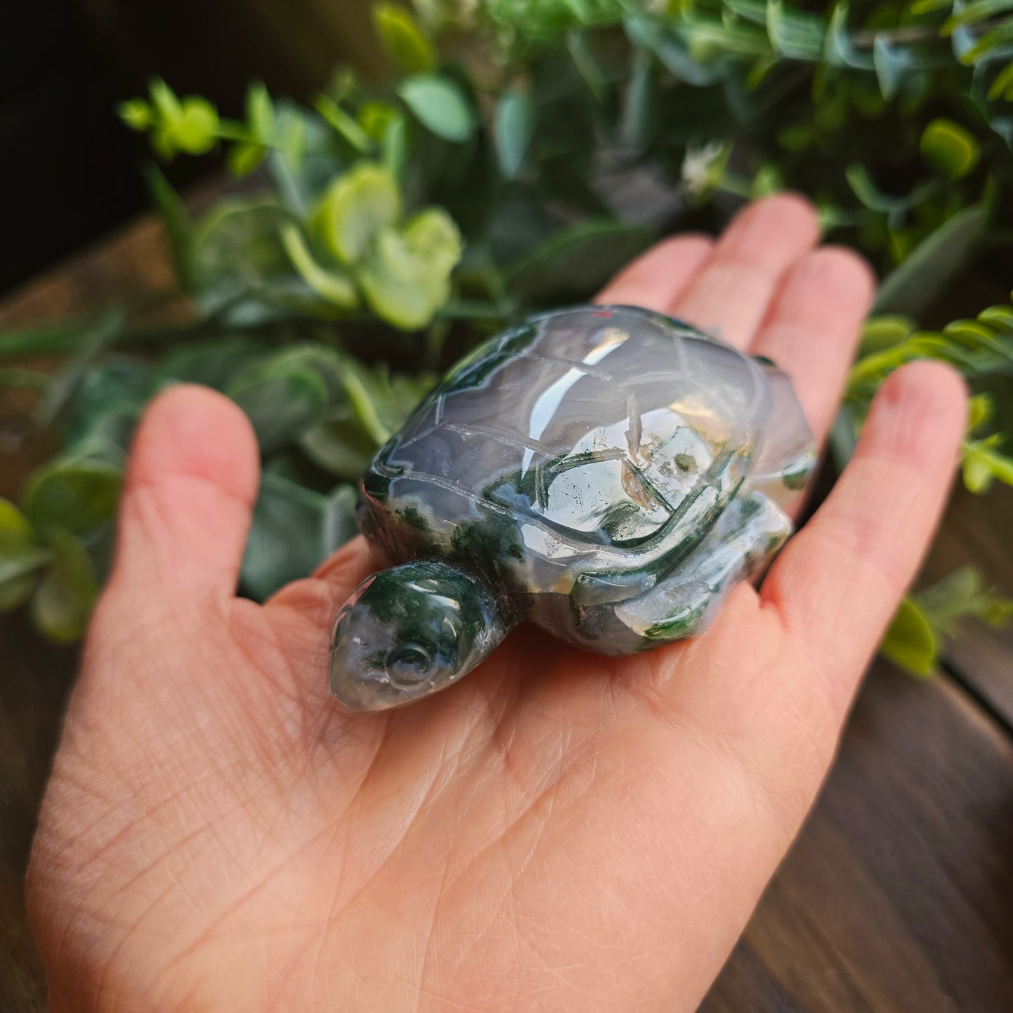 Tortue en Agate mousse