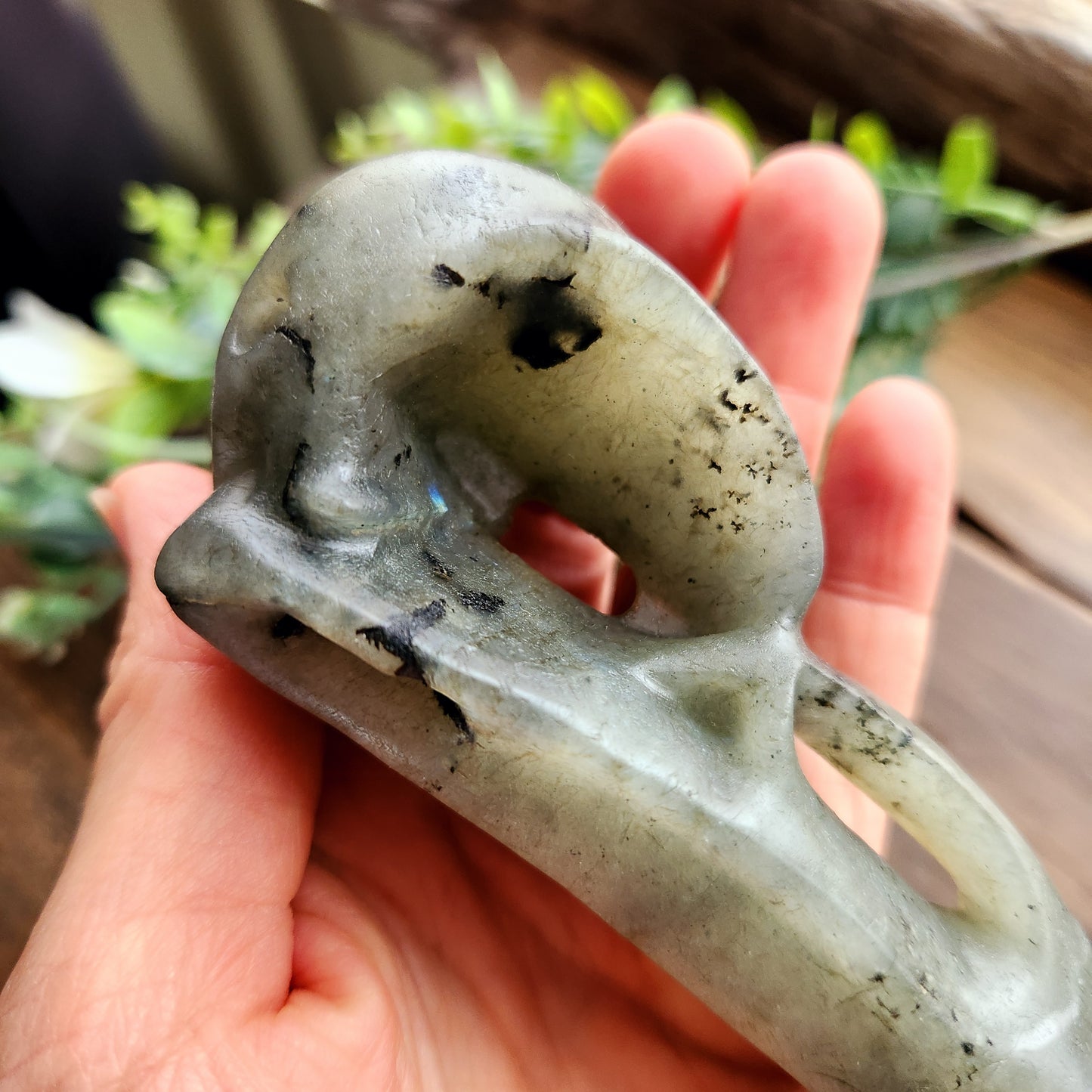 Crâne de corbeau en Labradorite