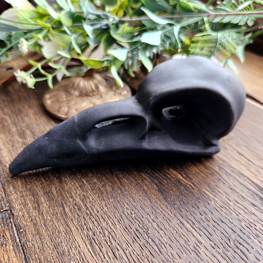 Crâne de corbeau en Obsidienne noire