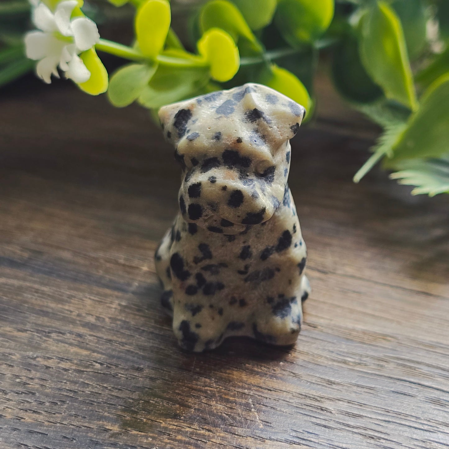 Chiens sculptés