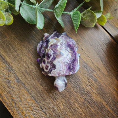 Tortue en Améthyste