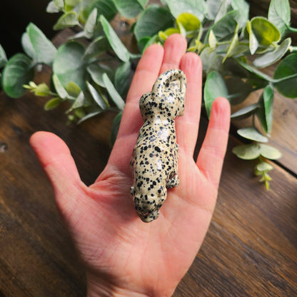 Léopard en Jaspe dalmatien - n°1