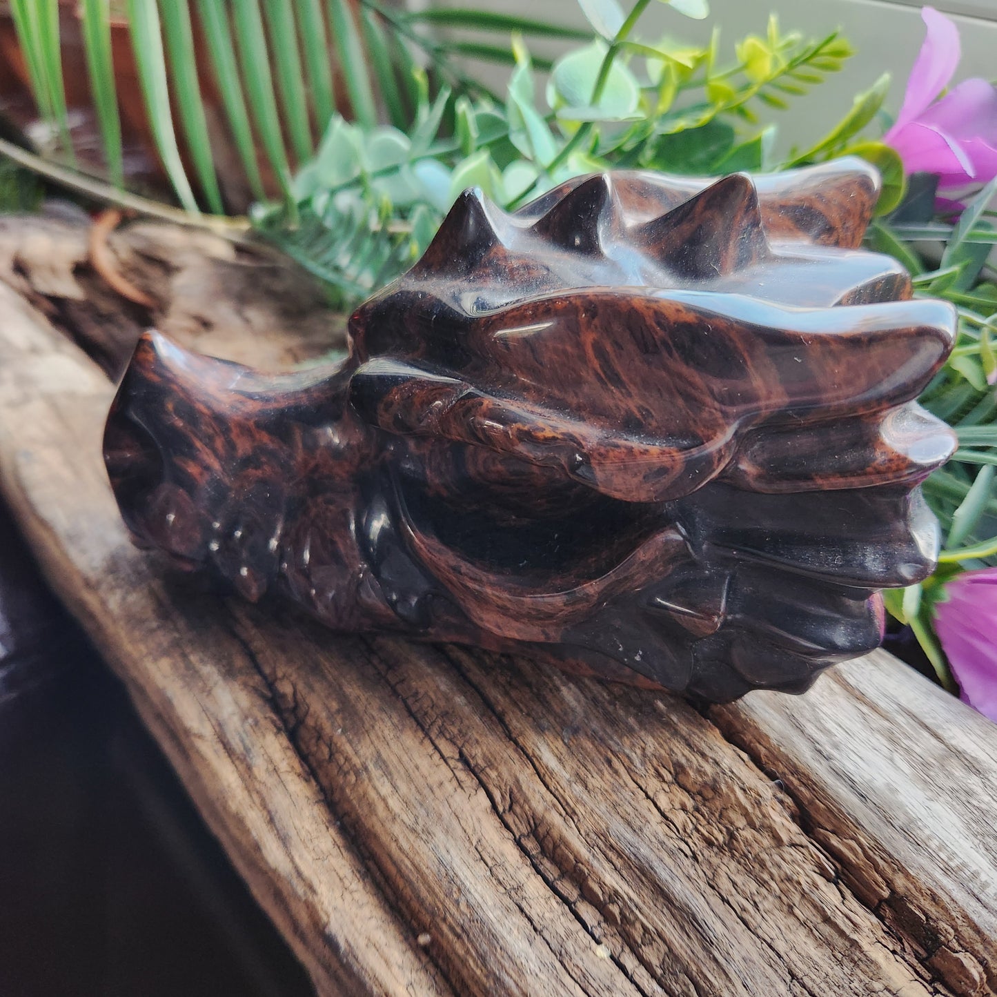 Tête de dragon en Obsidienne acajou