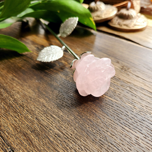 Rose en Quartz Rose