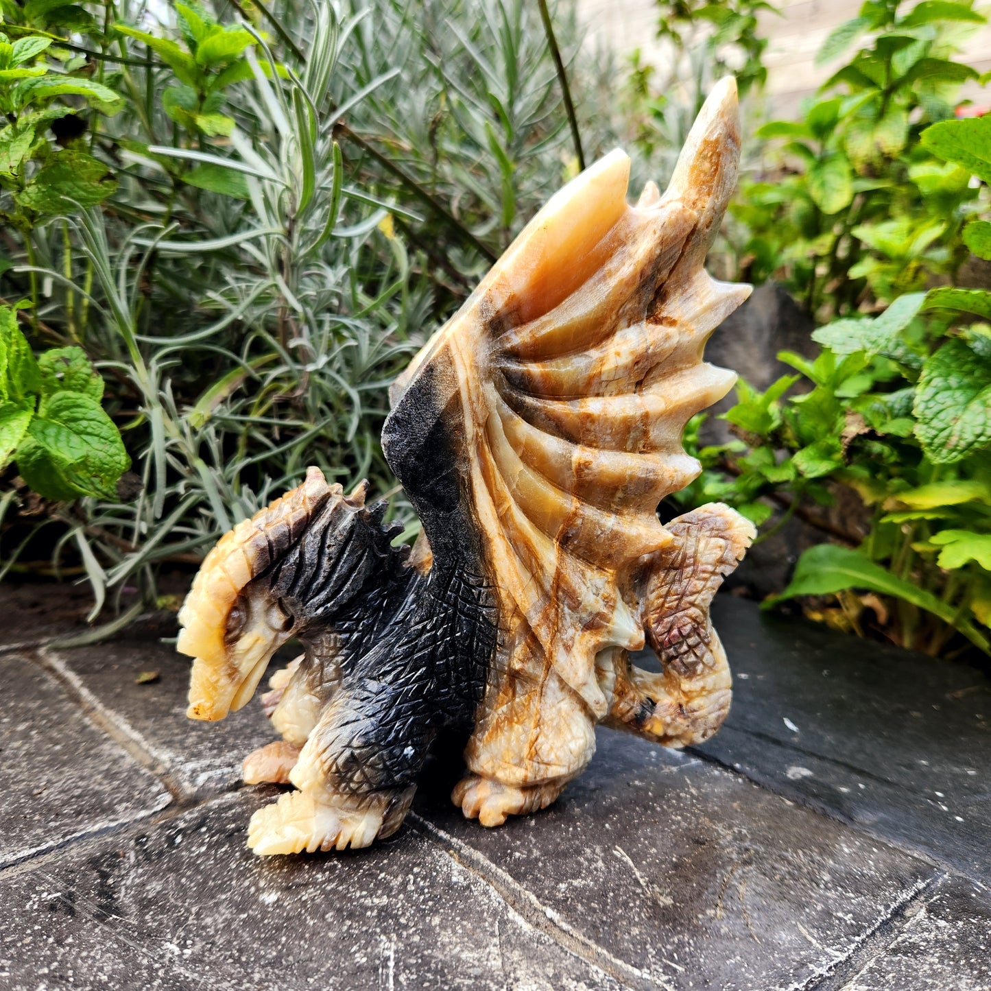 Sculpture de Dragon en Jaspe - n°1