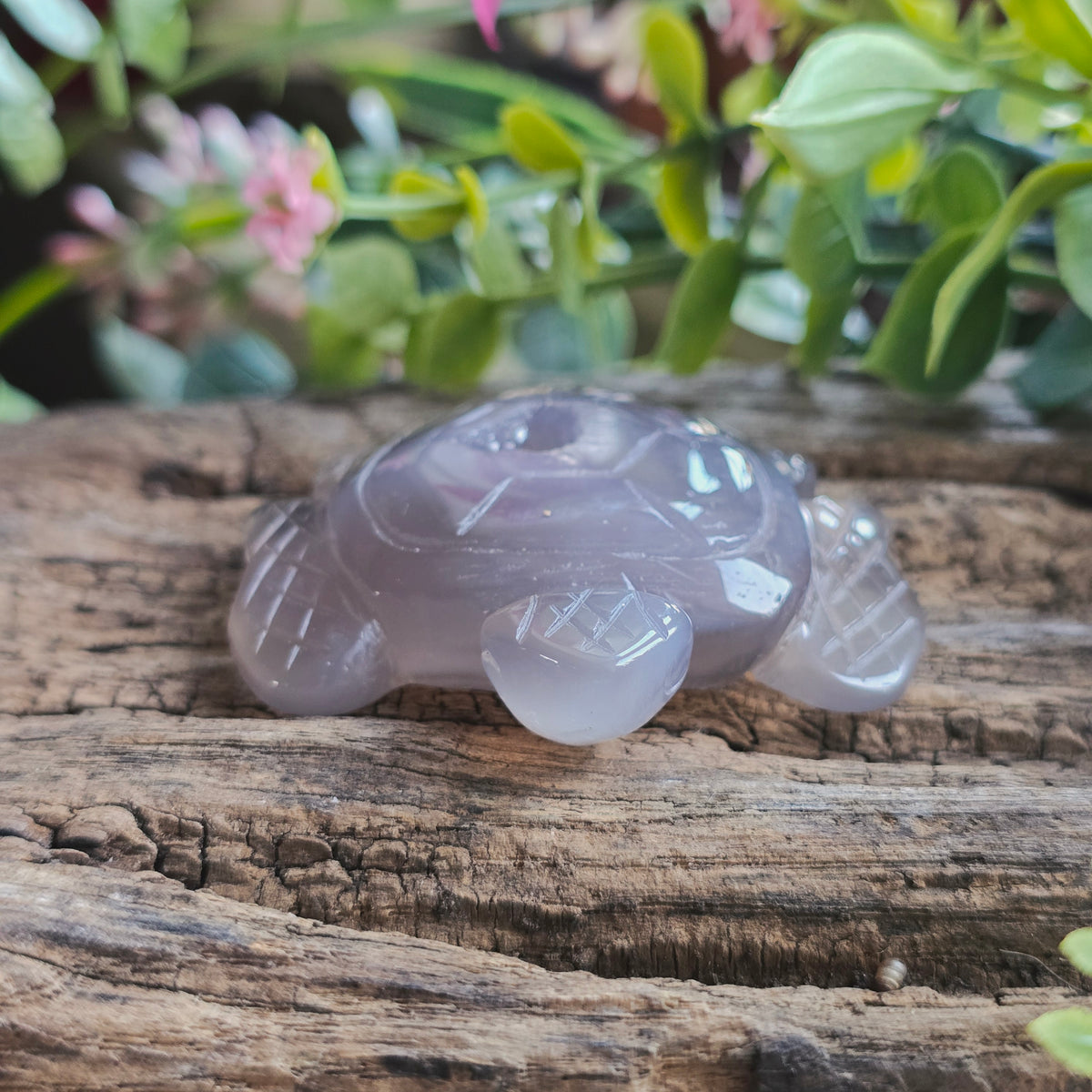 Tortue en Agate n°2