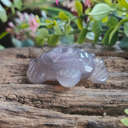 Tortue en Agate n°2