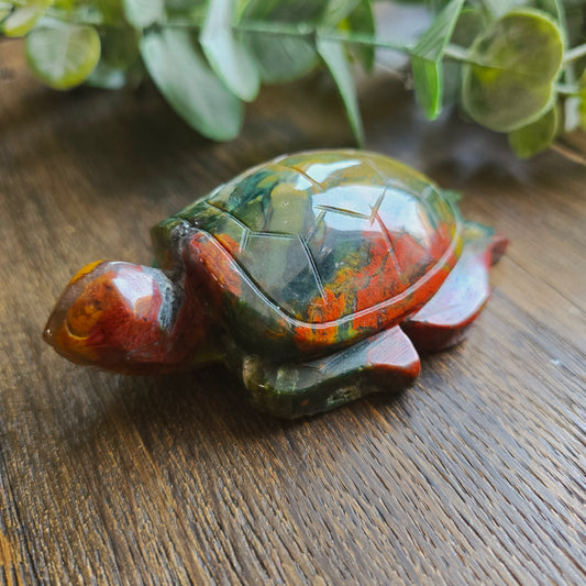 Tortue en Jaspe sanguin